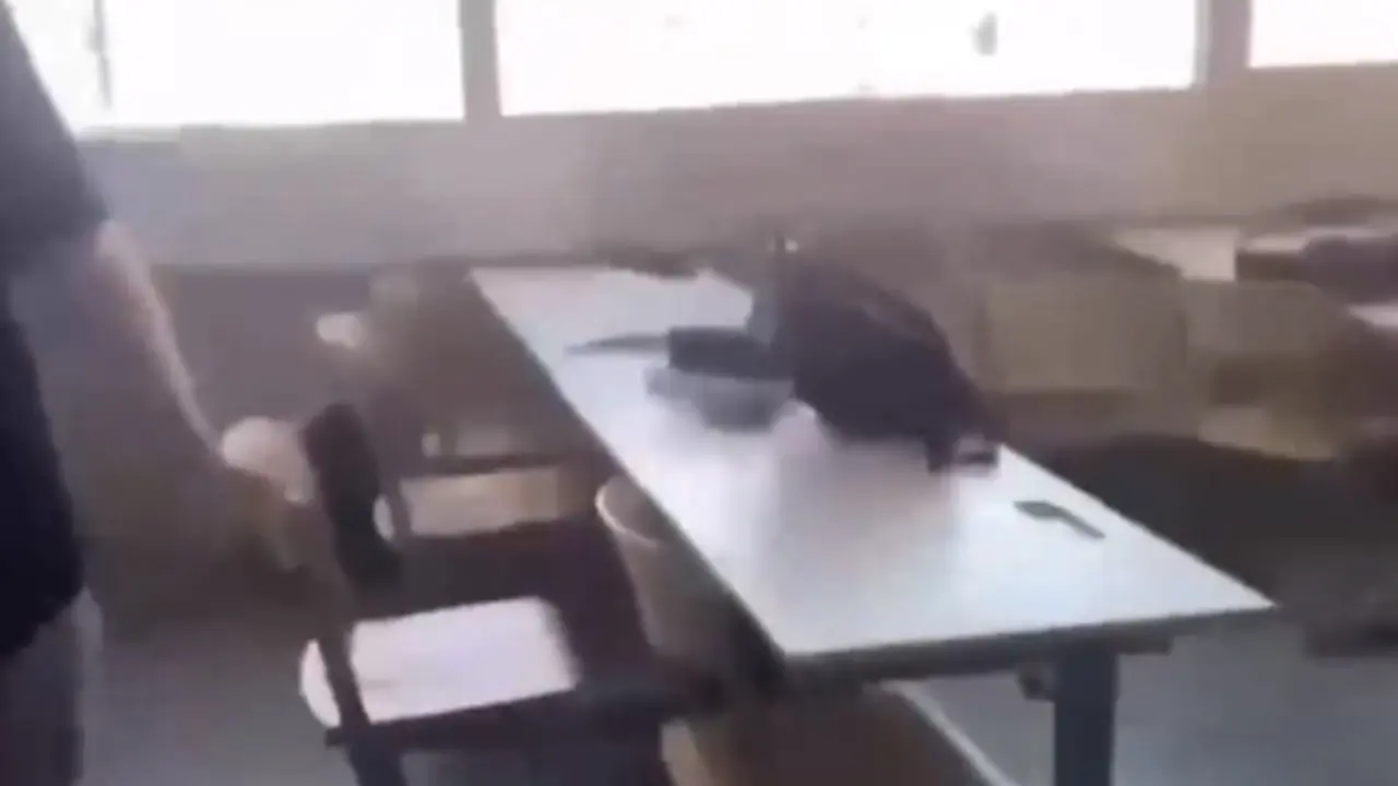 Pucnjav u školi u Gracu