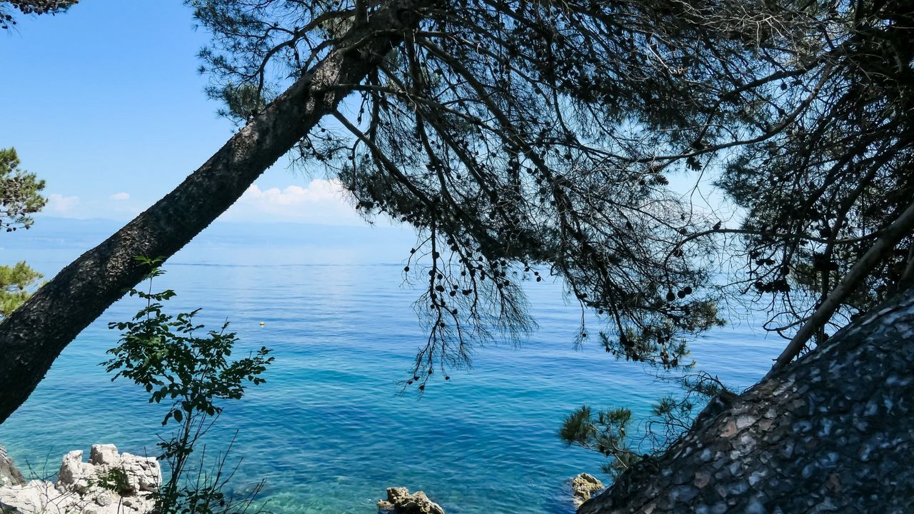Jadran