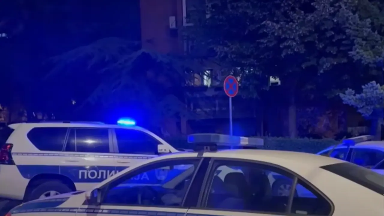 Policijske patrole