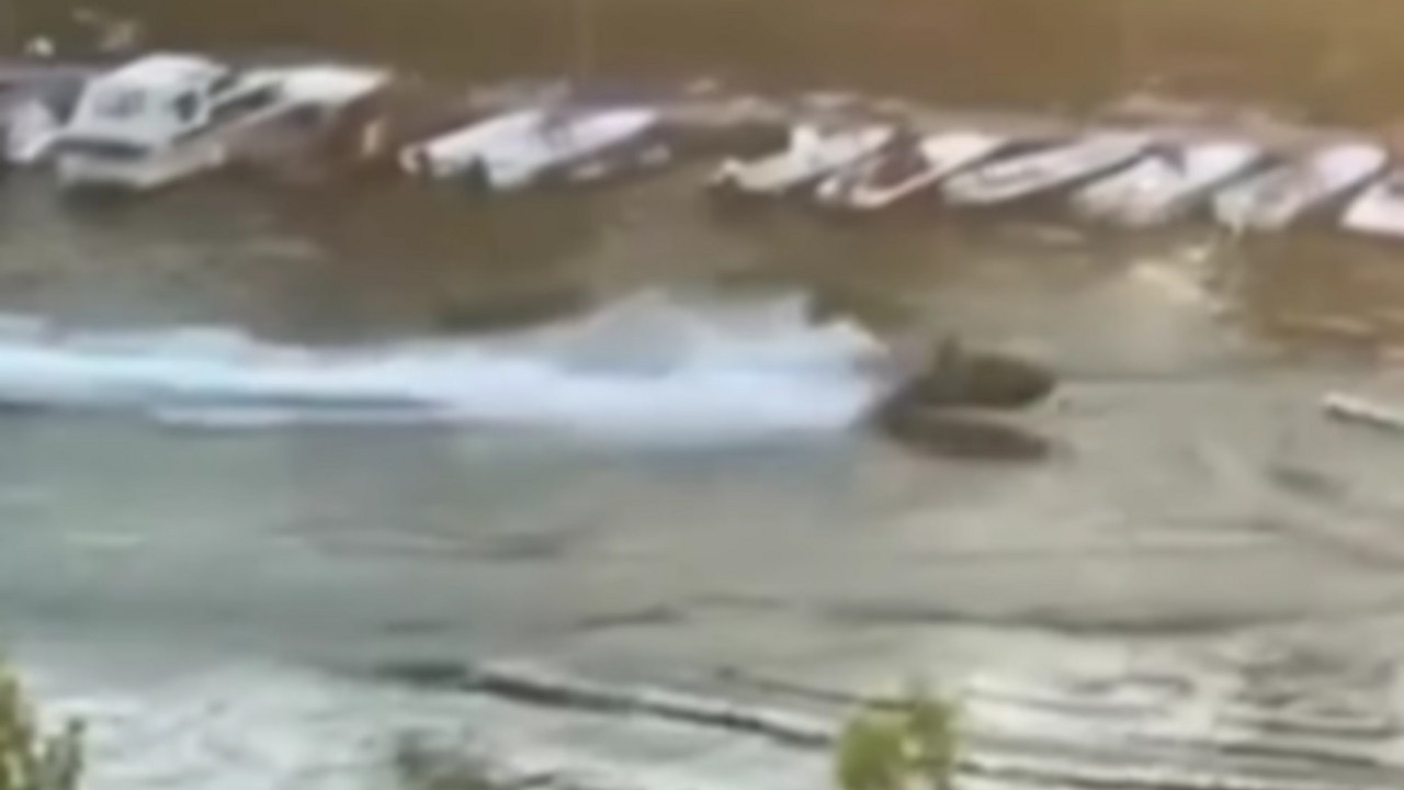 Incident na Tamišu
