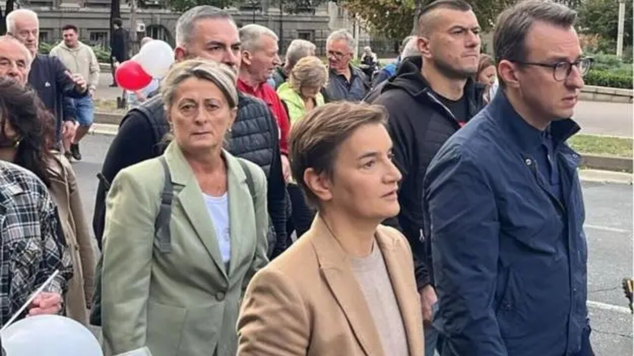 Brnabić i Petković