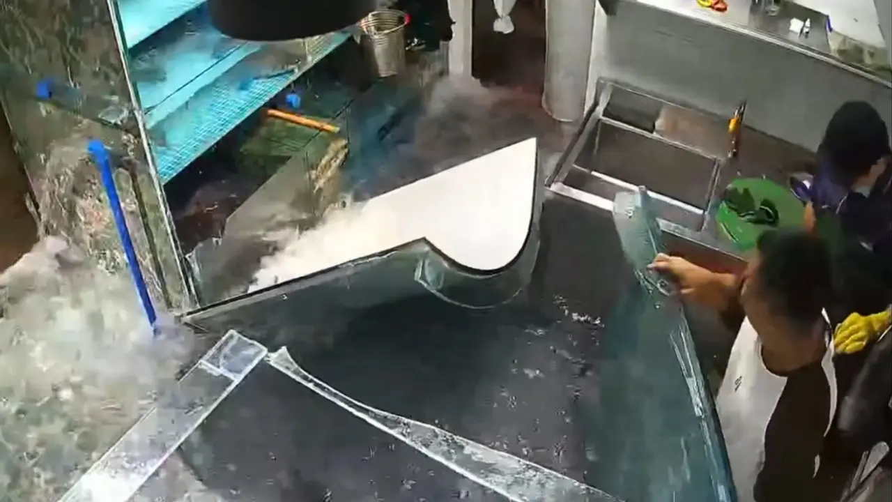 Pucnjava akvarijuma