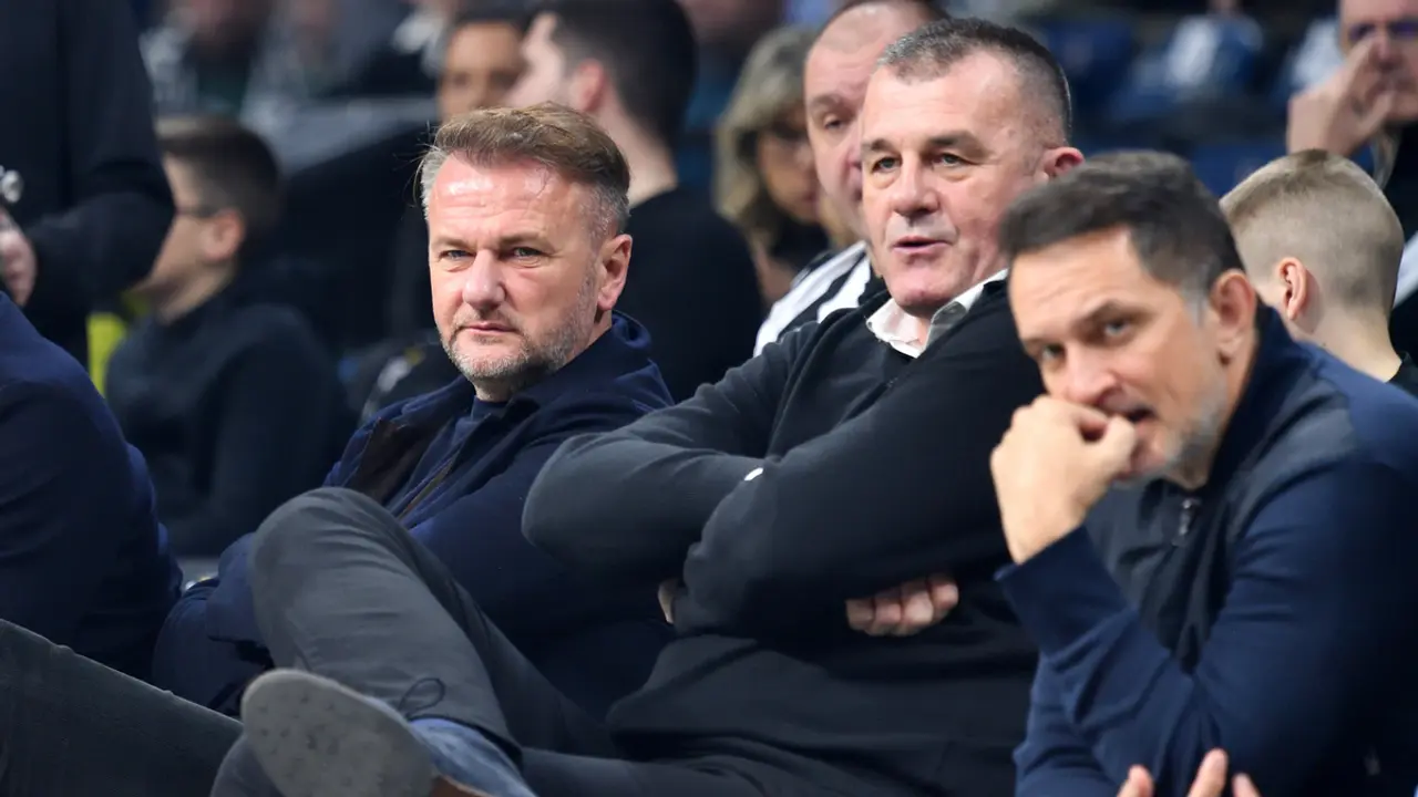 Ostoja Mijailović, Zoran Savić