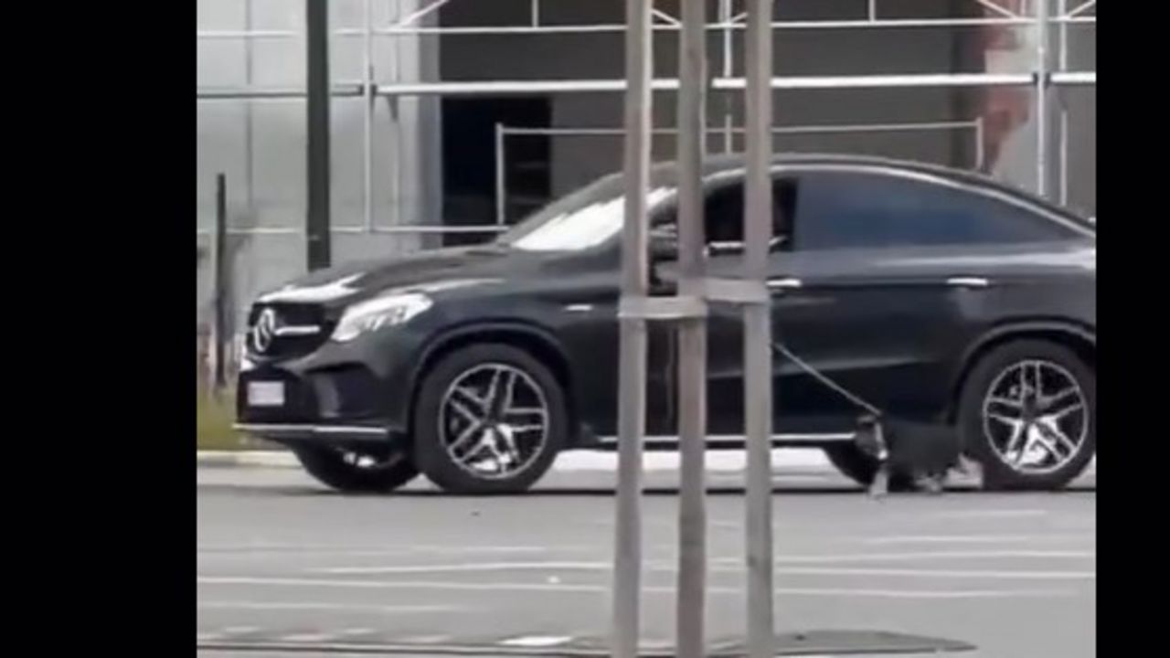 Šetnja psa iz automobila