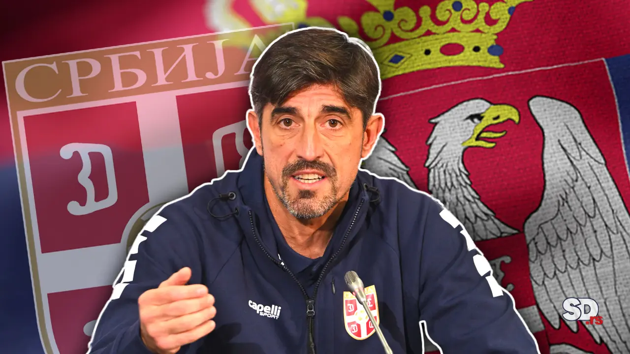 Veljko Paunović, Fudbalska reprezentacija Srbije