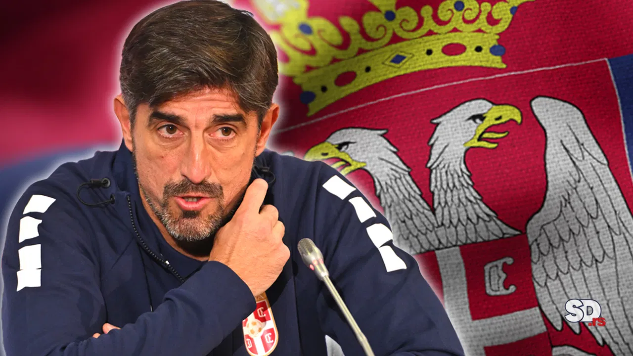Veljko Paunović, Fudbalska reprezentacija Srbije