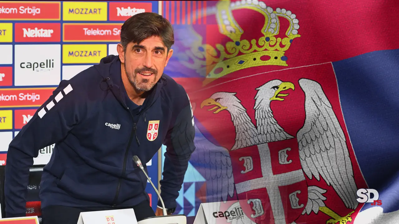 Veljko Paunović, Fudbalska reprezentacija Srbije