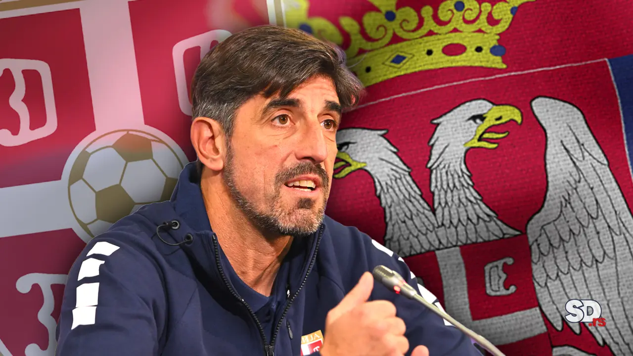 Veljko Paunović, Fudbalska reprezentacija Srbije