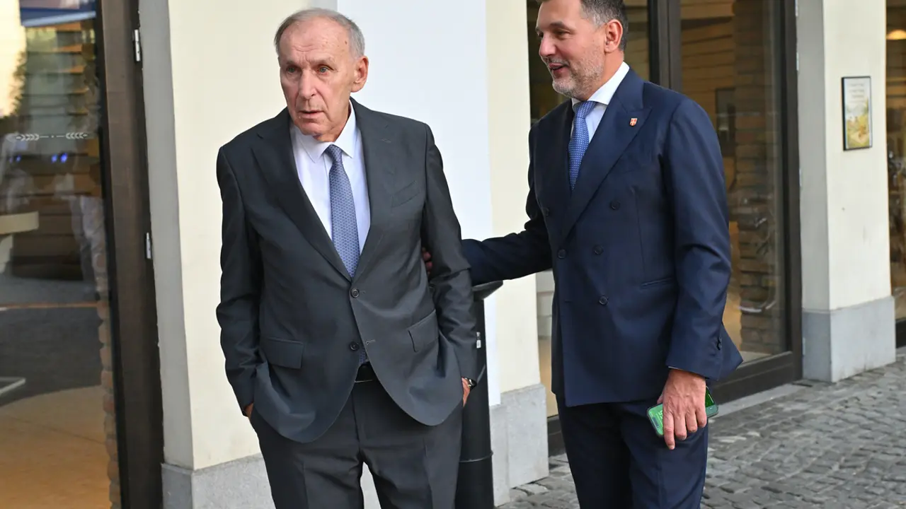 Dragan Džajić