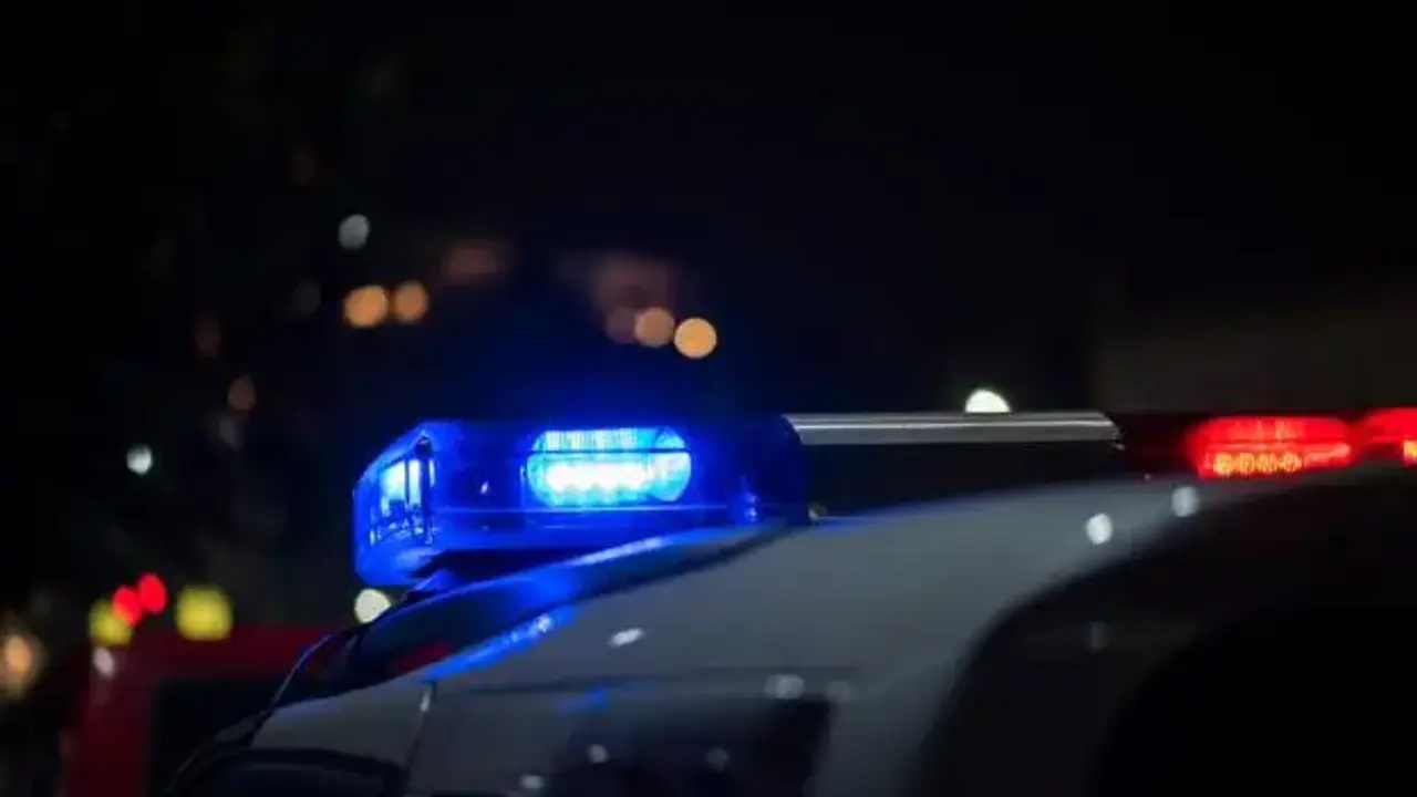 policija