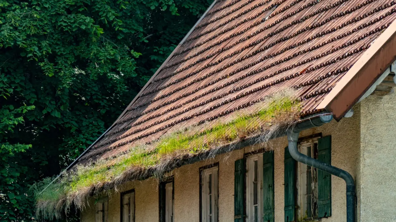 Telo momka pronađeno u dimnjaku posle 7 godina od nestanka