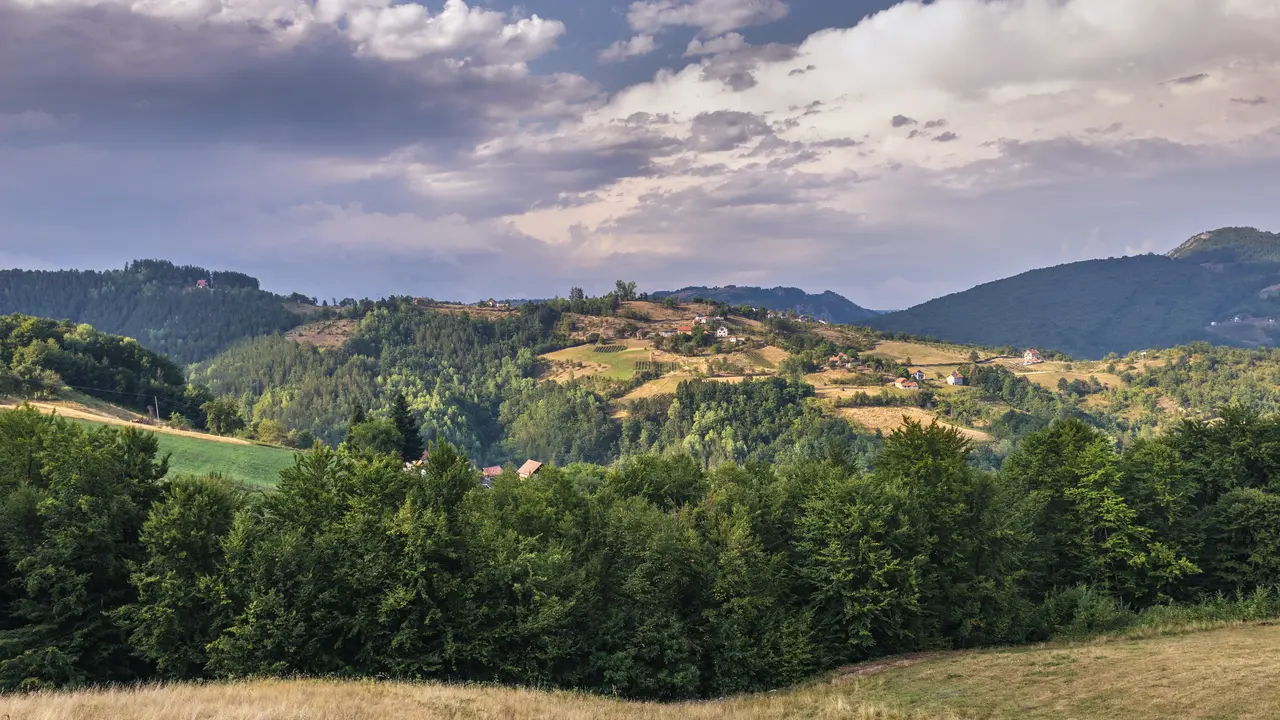 Arilje