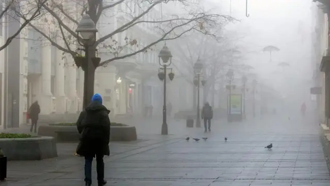Beograd