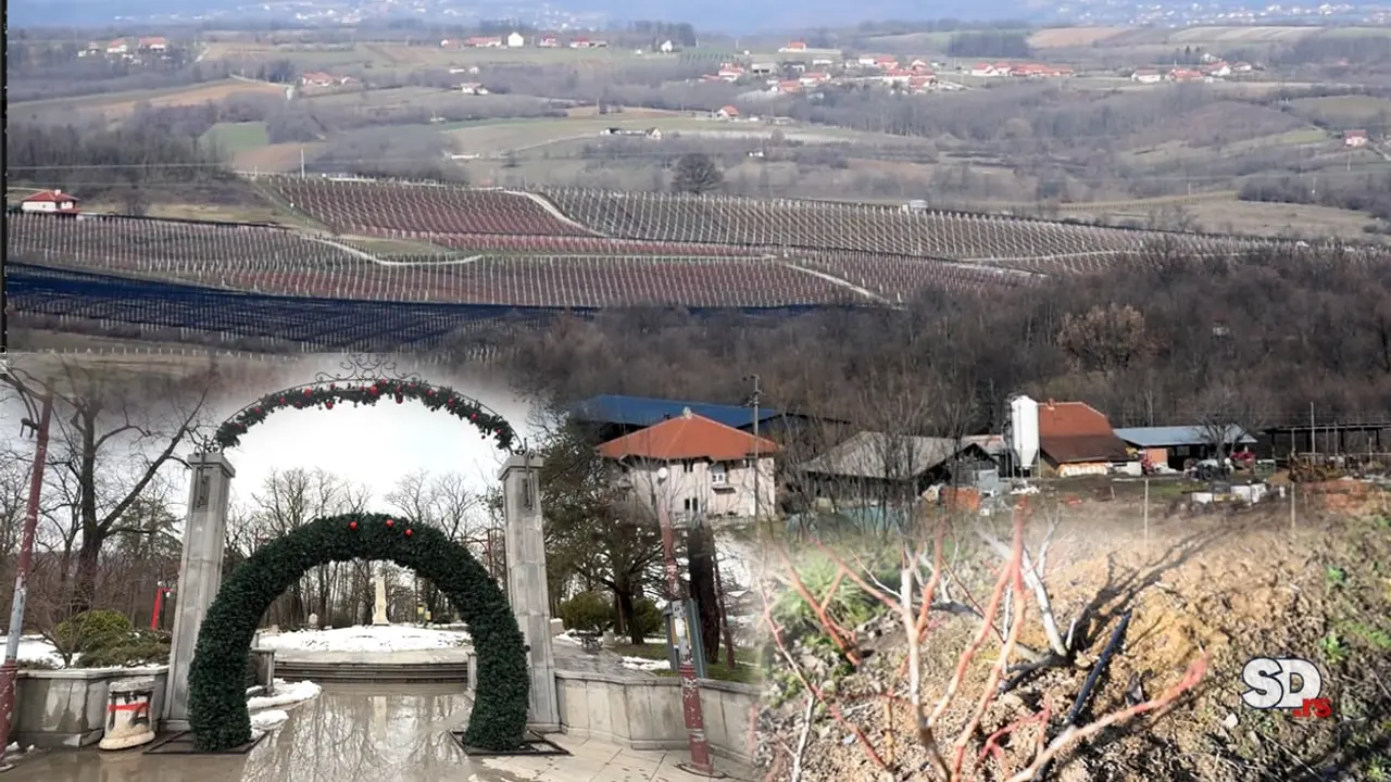 Aranđelovac