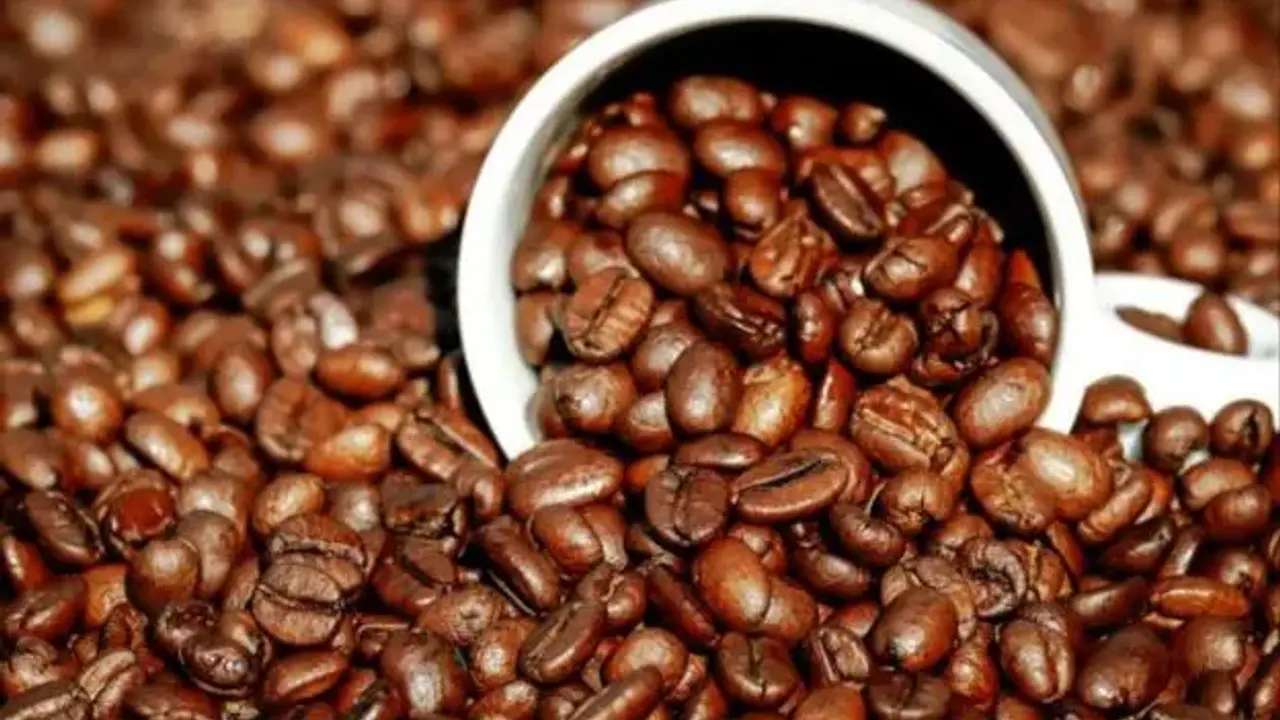 kafa