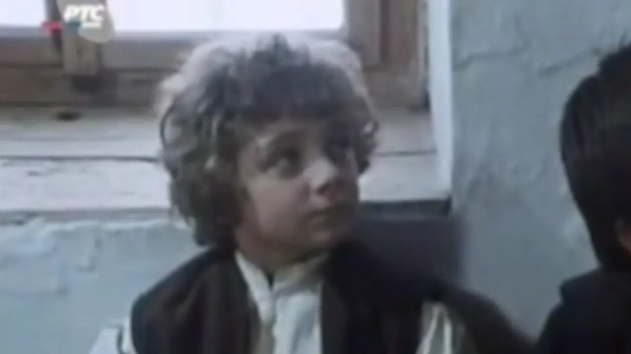 Mihailo Jevtić, serija "Vuk Karadžić"