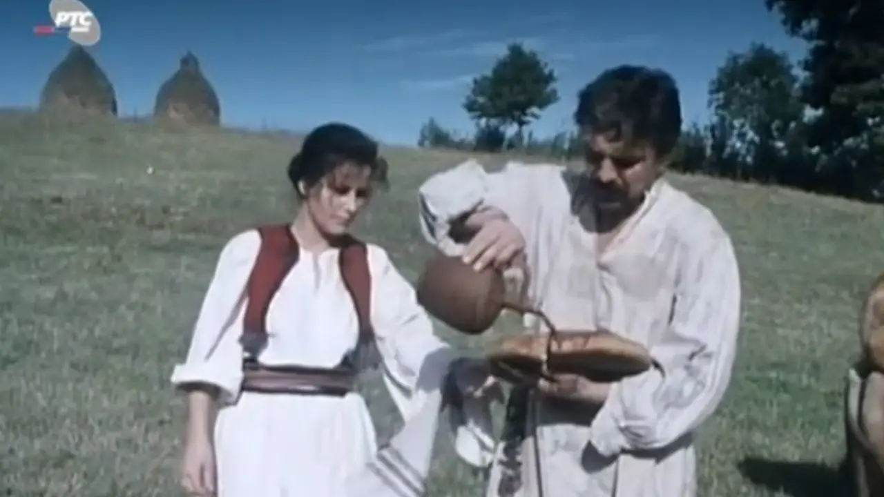 Snežana Savić, Danilo Lazović, serija "Vuk Karadžić"