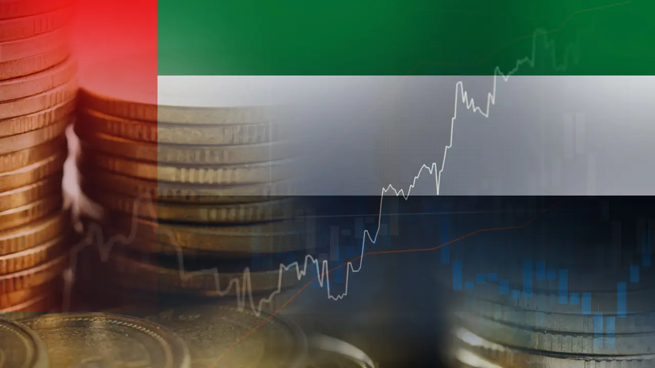UAE investicije