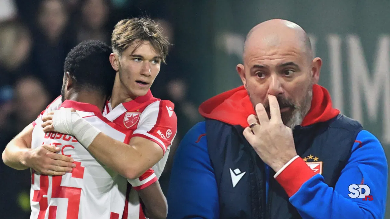 Dejan Stanković, FK Crvena zvezda