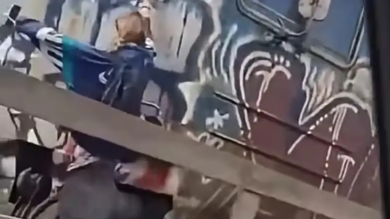 Devojka na vozu
