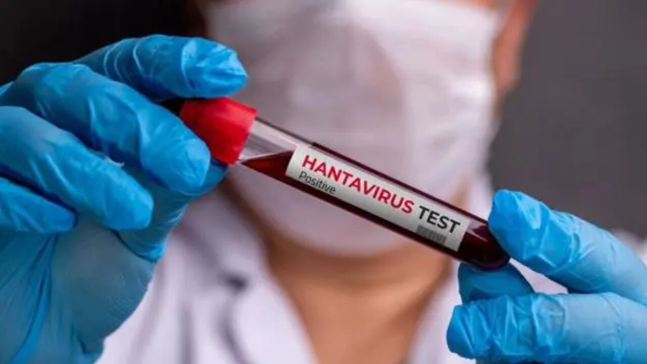Hantavirus