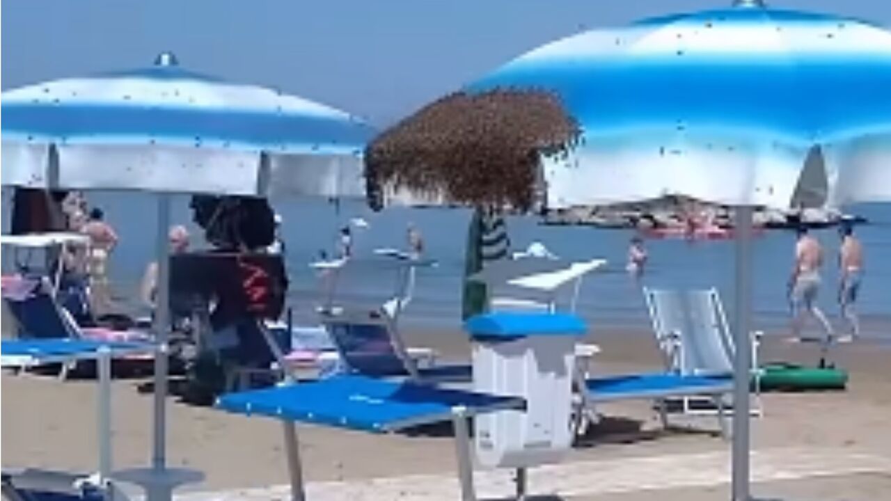 roj pčela okupirao plažu na Jadranu
