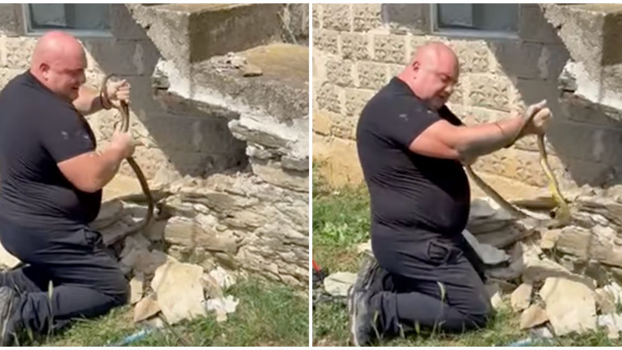Vladicu ujela zmija
