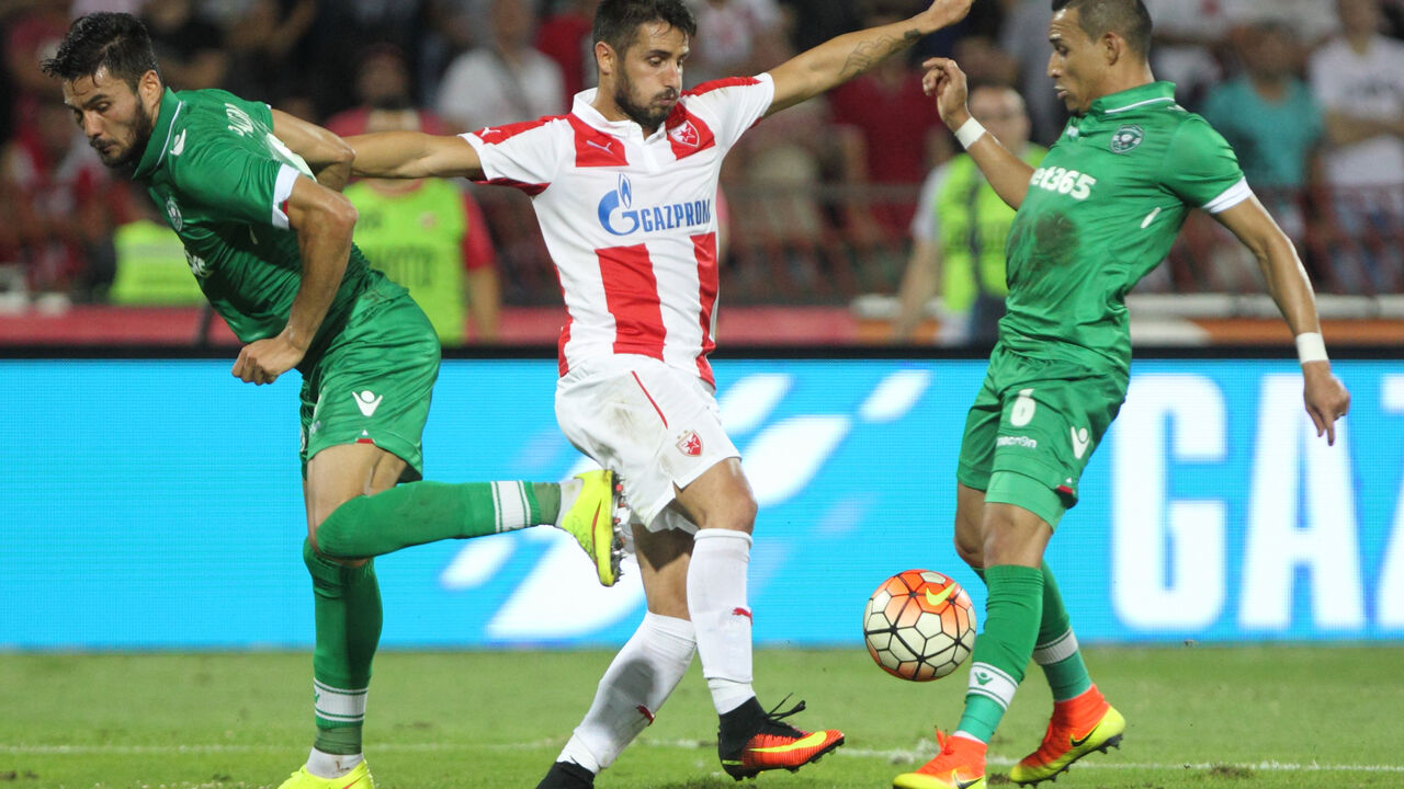 Detalj sa meča Crvena zvezda - Ludogorec 