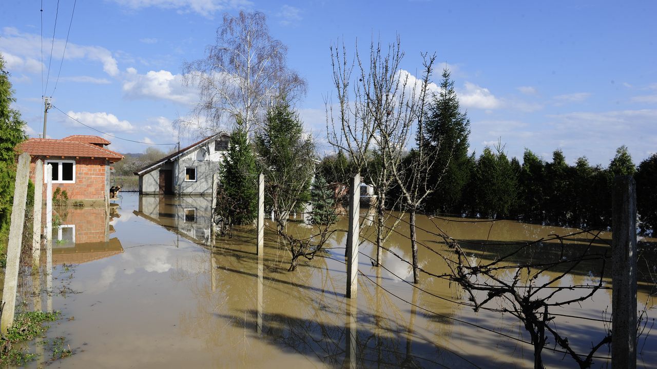 poplave