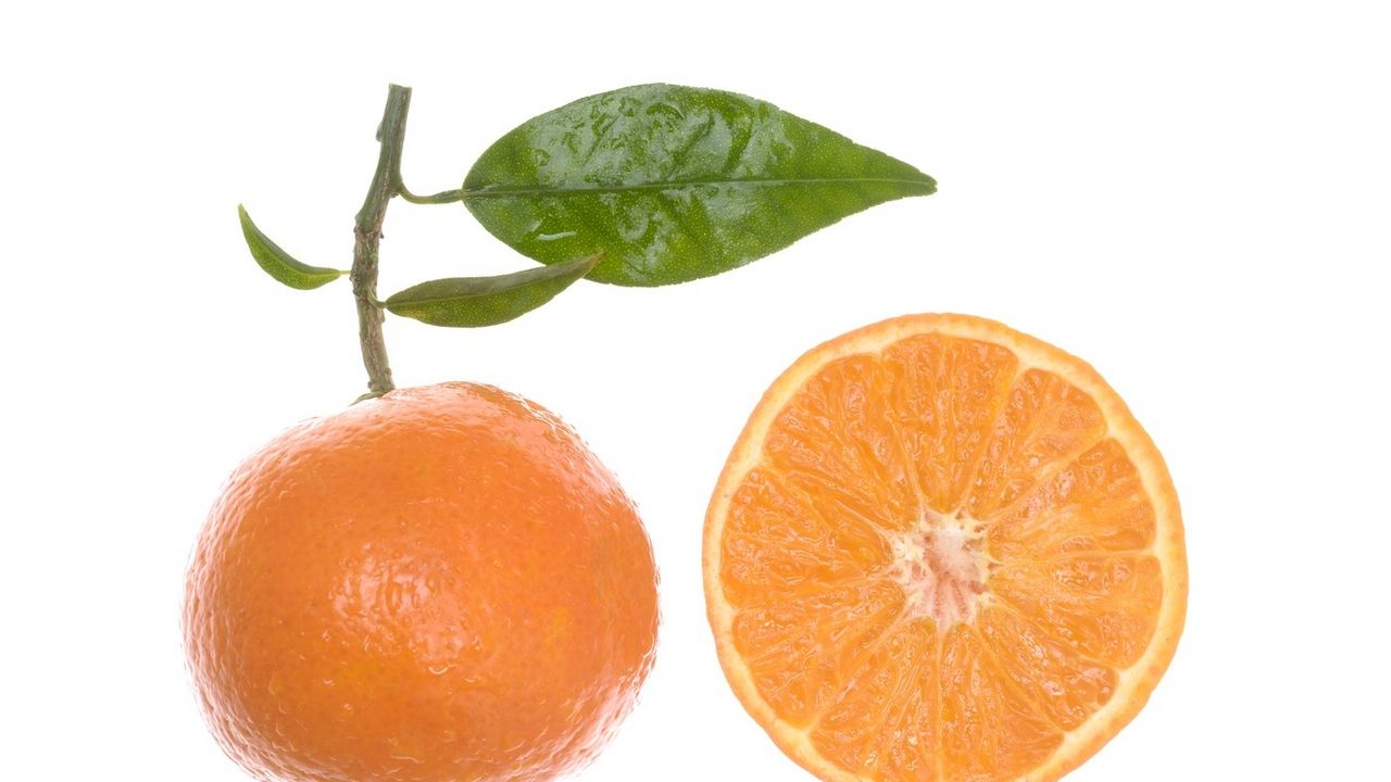 Mandarina