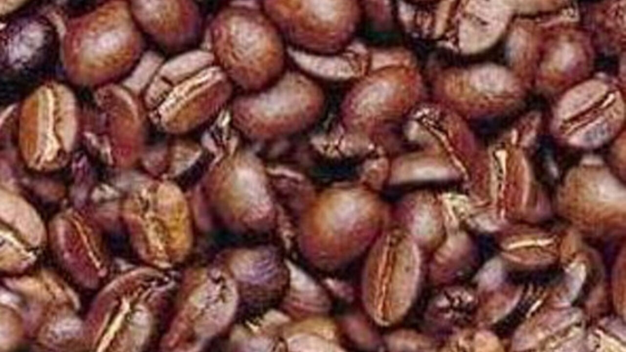 Kafa