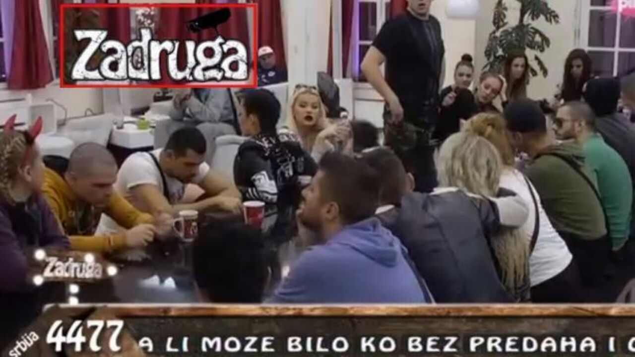 zadruga