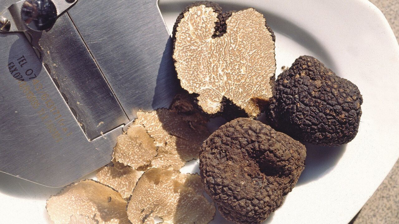 Tartufi