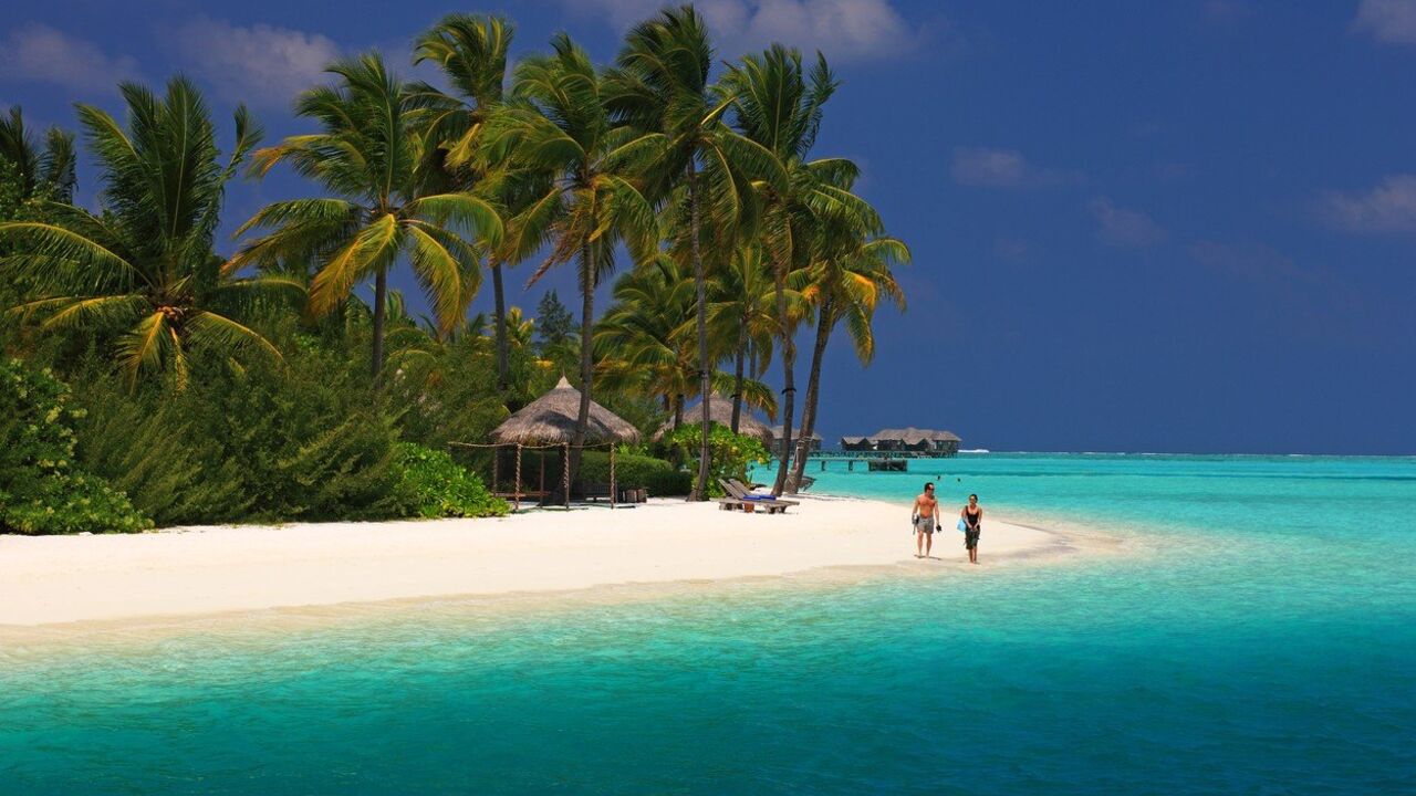 Maldivi