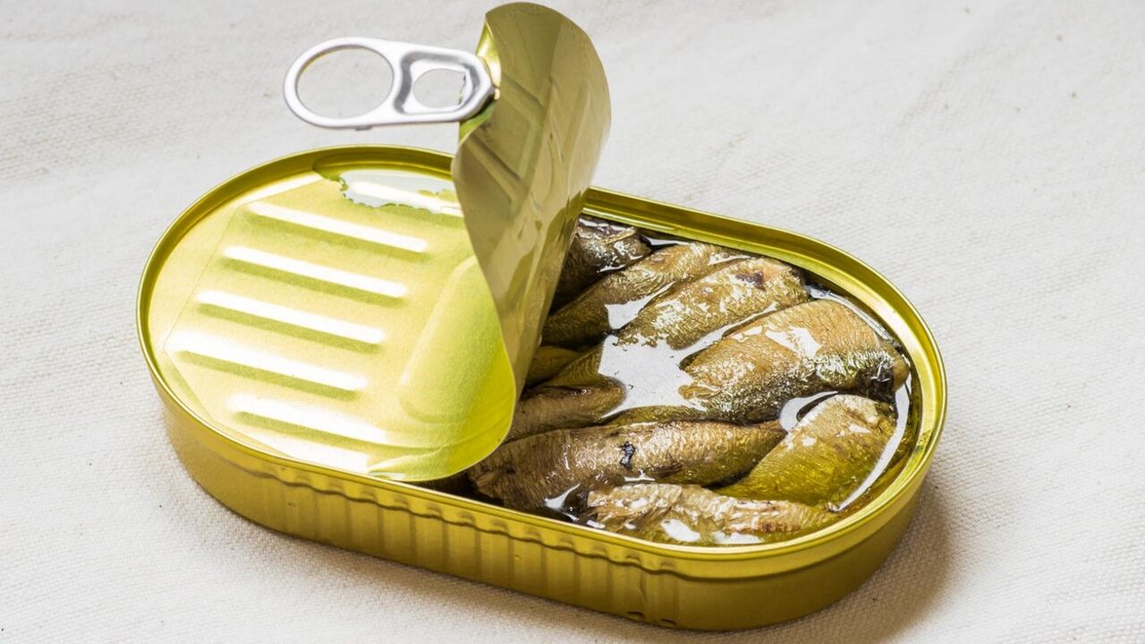 sardina