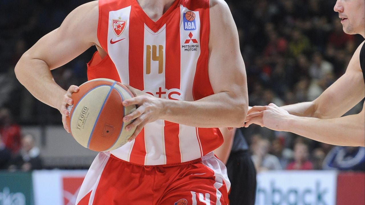 Dušan Ristić