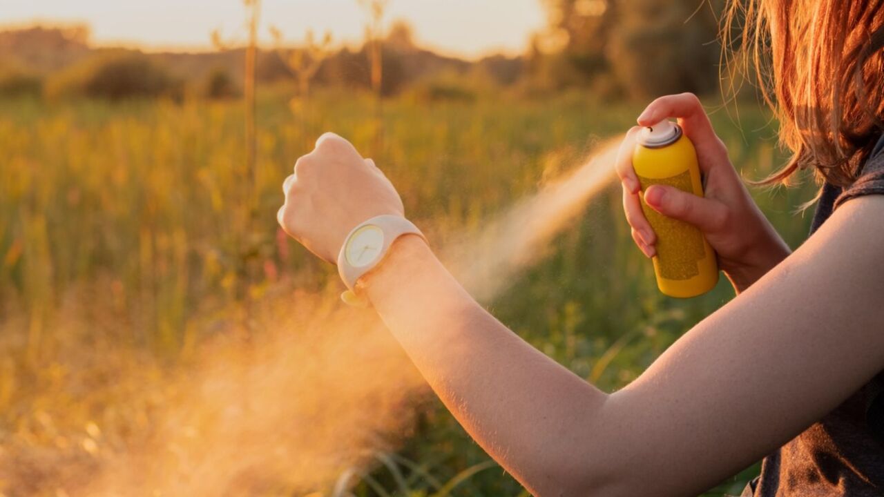 insekti, zaštita 