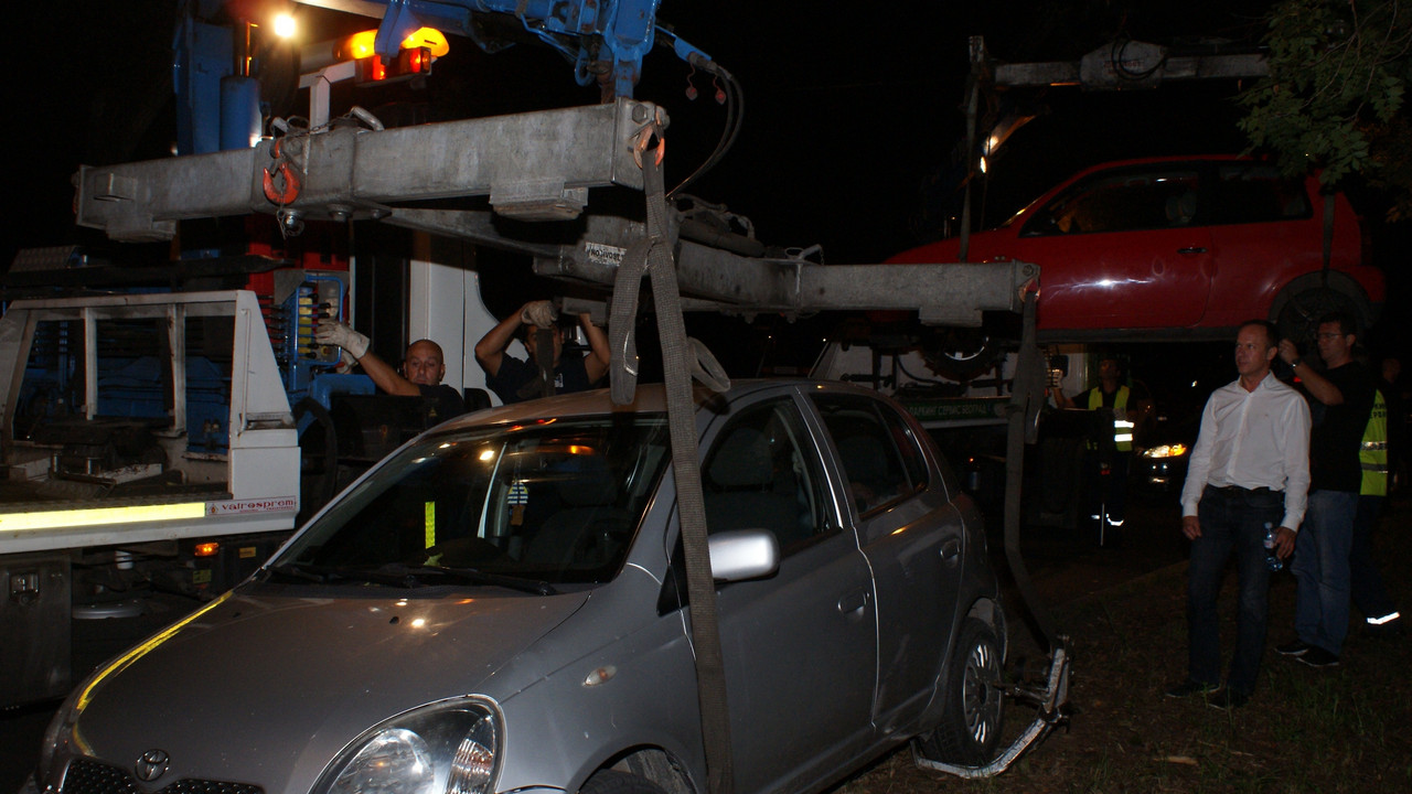 Parking servis, pauk