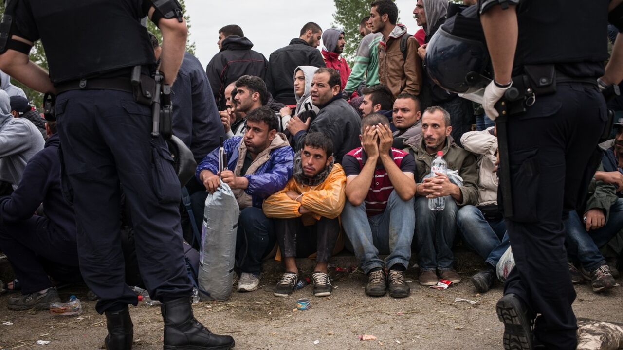 migranti