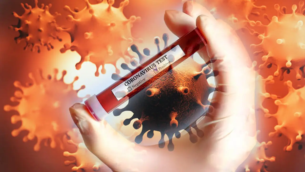 Korona virus