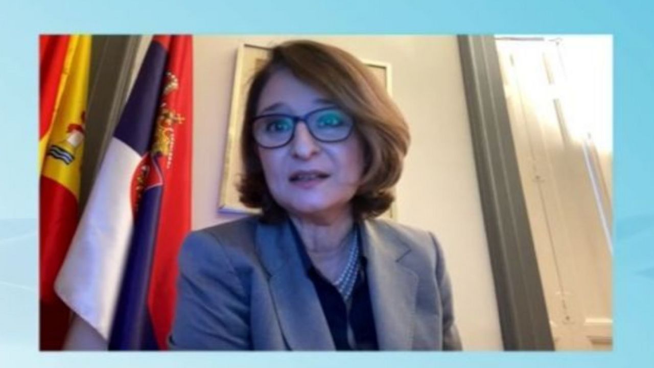 Ambasadorka