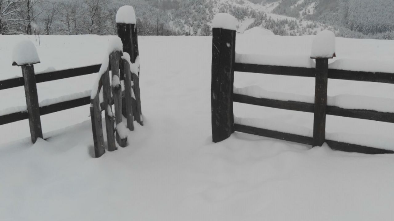 Ivanjica