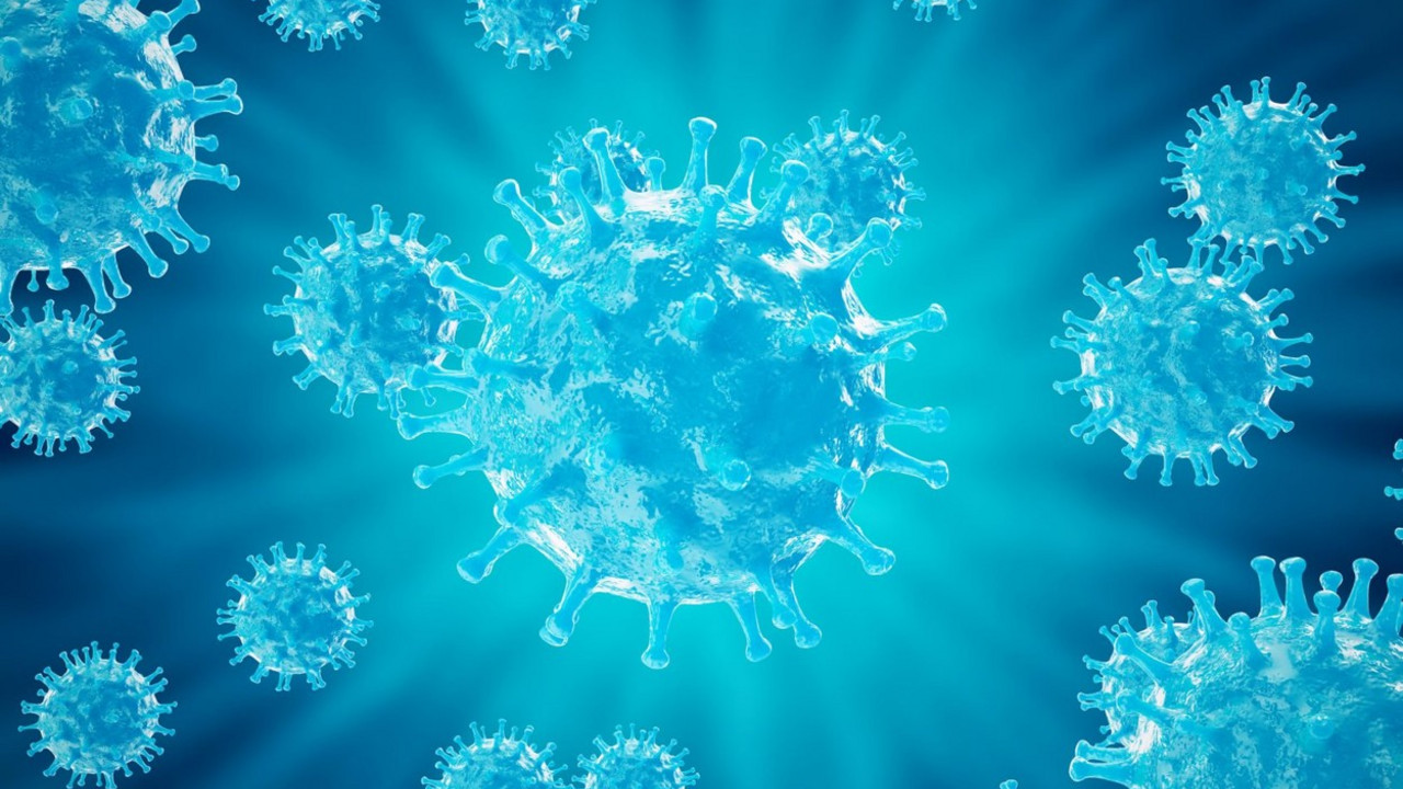Virus