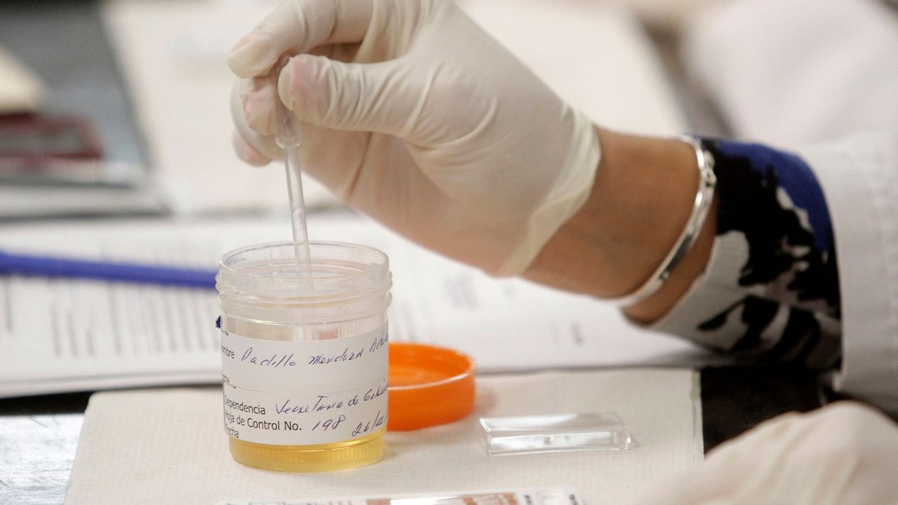 Laboratorija