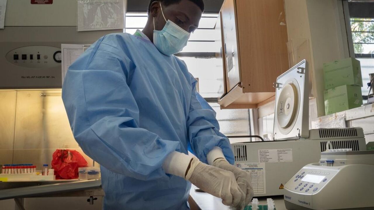 korona virus
