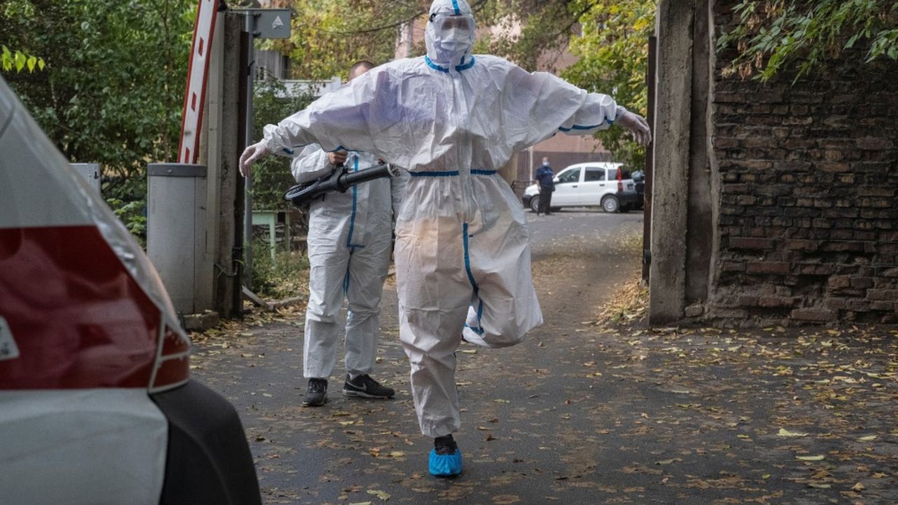 korona virus