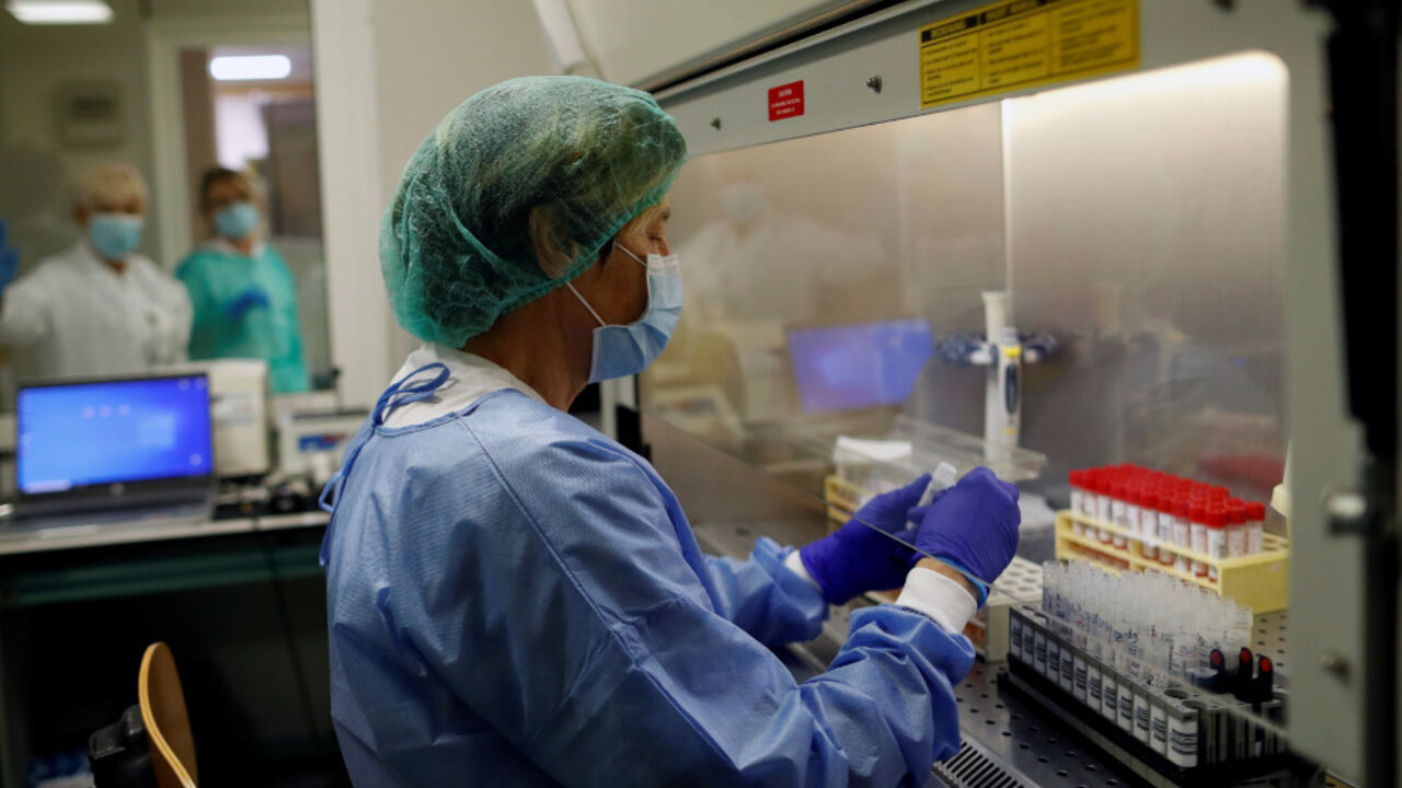 korona virus
