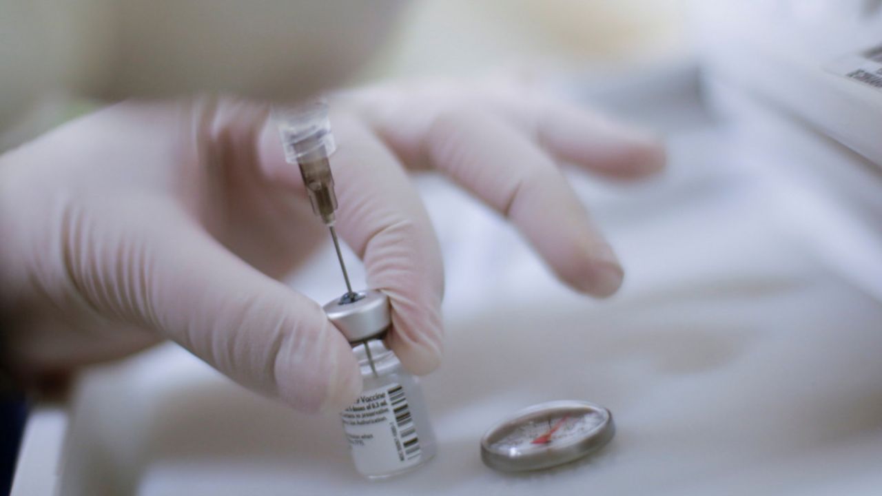 korona virus