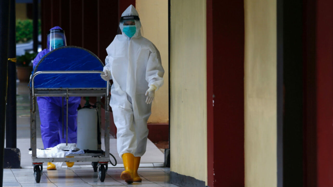 korona virus