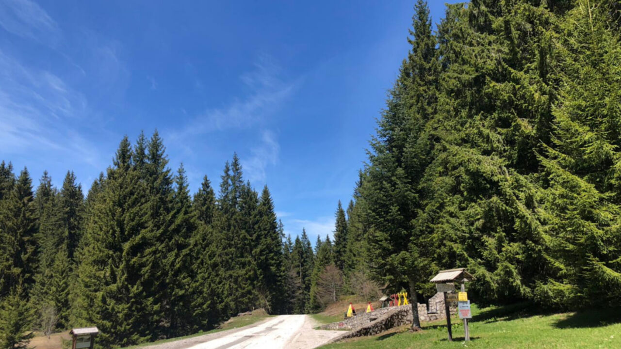 planina Golija